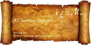 Énekes Ugron névjegykártya